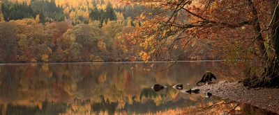 Autumn on the River Tummel